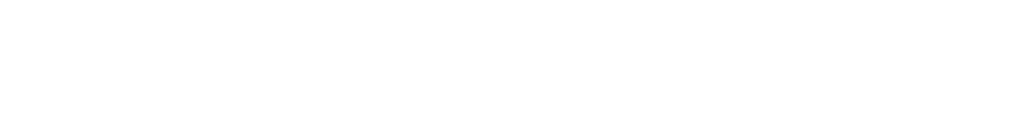 Rise Young Leaders Summit 2025