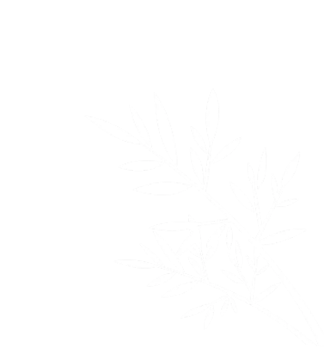 Rise Young Leaders Summit 2025