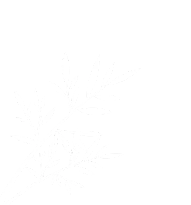 Rise Young Leaders Summit 2025